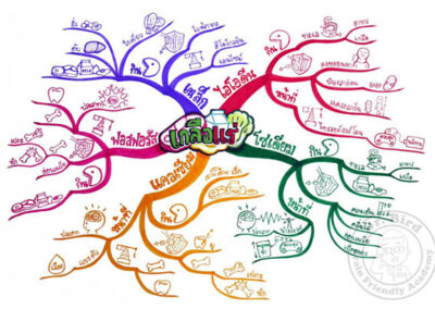 ตัวอย่าง Mind Mapping ง่ายๆ เรื่องเกลือแร่